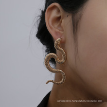 Personality twisted geometric hip-hop earrings, exaggerated snake-shaped fashion embossed long earrings